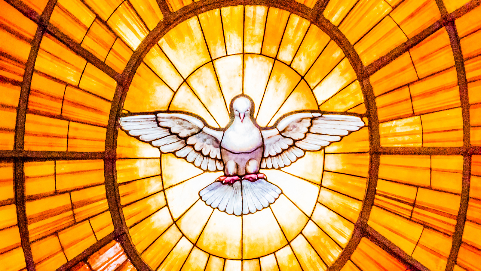 Archdiocese of Milwaukee - Main Campus-Administrative Assistant