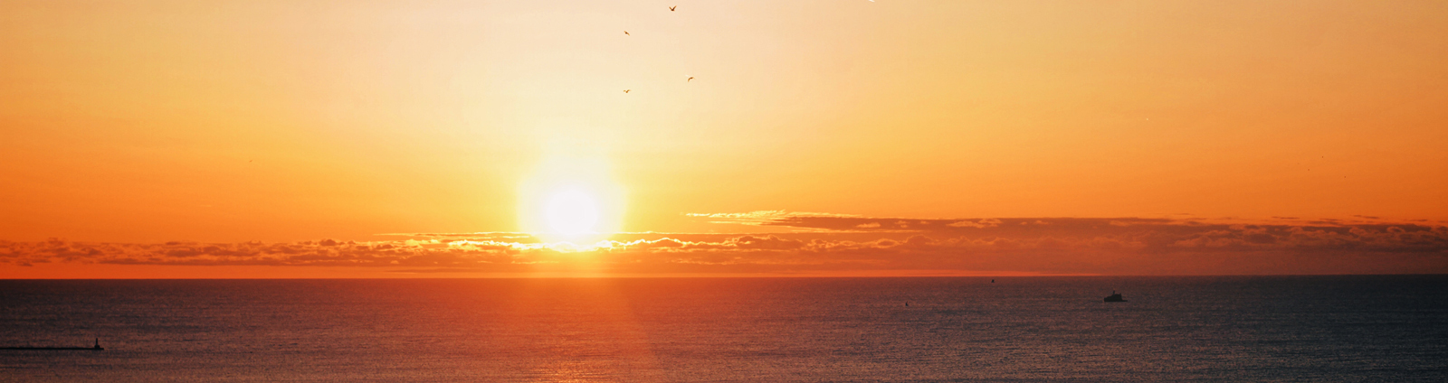 High School Vocation Camp